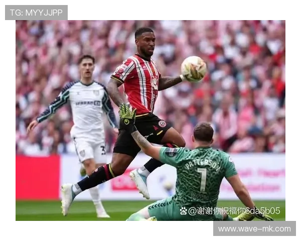 桑德兰无缘升级，季后赛失利令球迷失望