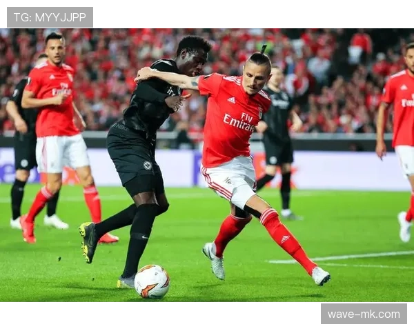 本菲卡攻防两端表现抢眼：稳健防守搭配高效进攻成制胜关键