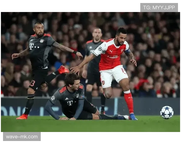 德甲欧公园主场不败纪录延续，球队状态火热引关注