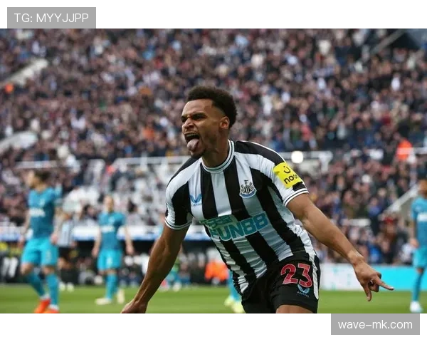 纽卡斯尔联欧战表现稳健,剑指更高竞争力 纽卡斯尔联欧战表现稳健,剑指更高竞争力